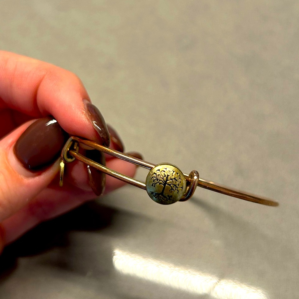 Alex and Ani Tree of Life slider charm